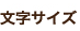 文字サイズ