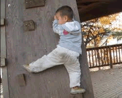 01.gif